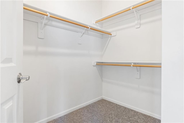 spacious closet featuring carpet