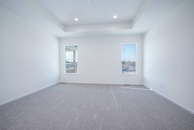 spare room with carpet flooring and a tray ceiling