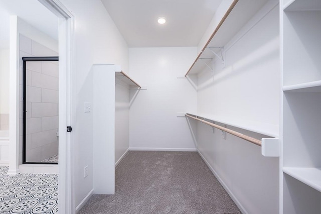 walk in closet featuring carpet floors