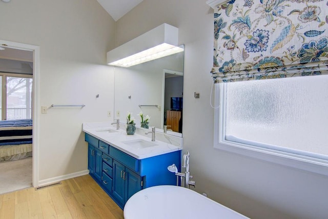 bathroom featuring hardwood / wood-style flooring and vanity