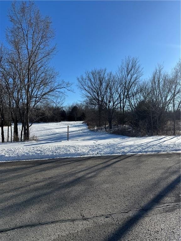 W 124 Street, Olathe KS, 66061 land for sale