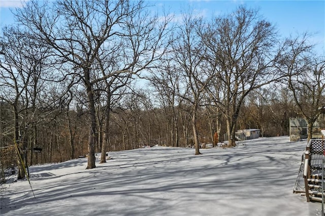 view of yard layered in snow