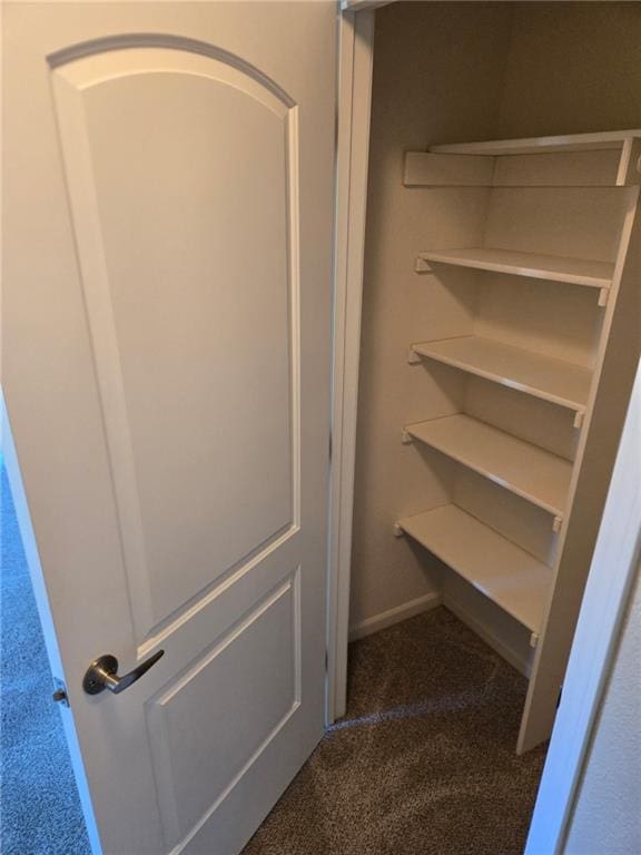 view of closet