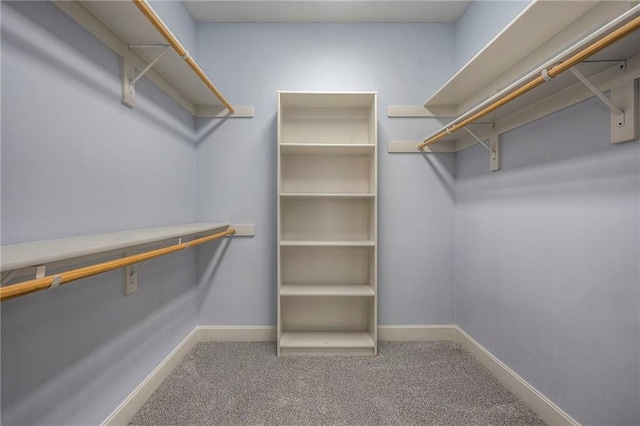 walk in closet with carpet flooring