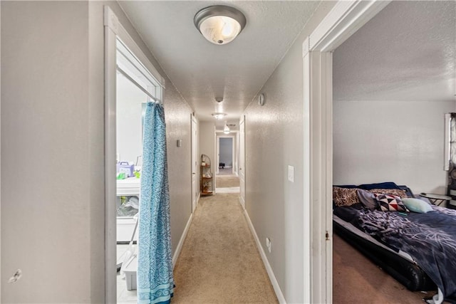 hall with a wealth of natural light, light carpet, and a textured ceiling