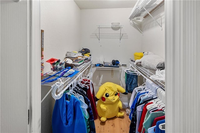 spacious closet featuring wood-type flooring