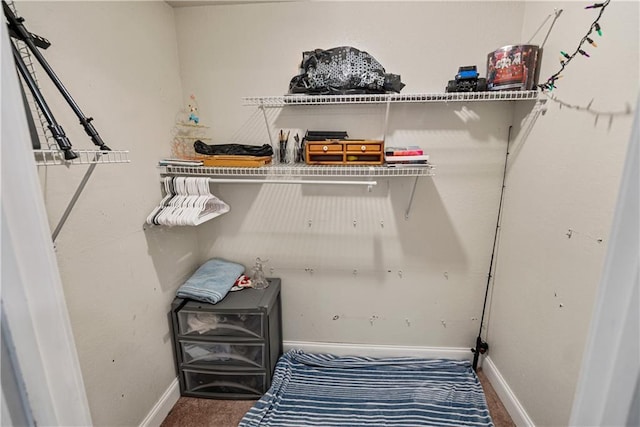 spacious closet with carpet flooring