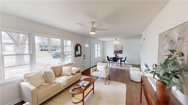 living room with hardwood / wood-style flooring and ceiling fan