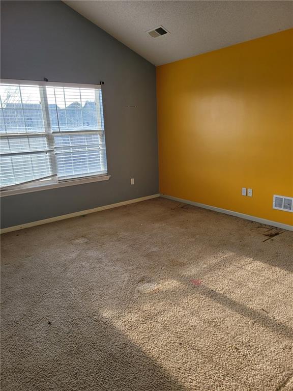 spare room with lofted ceiling, carpet floors, and a textured ceiling