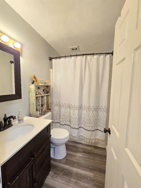 bathroom featuring toilet, wood finished floors, vanity, and a shower with curtain