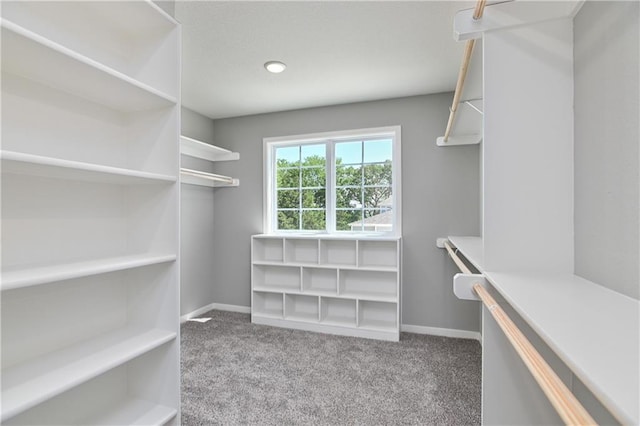 spacious closet featuring light carpet