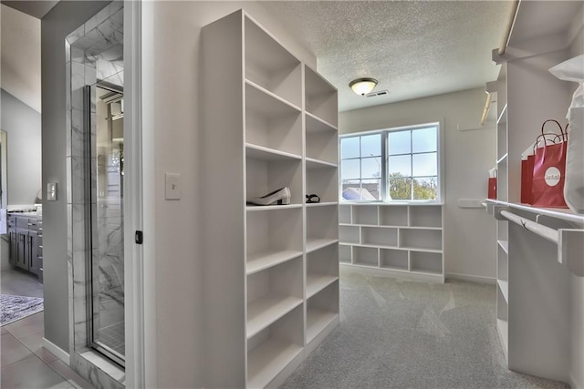 spacious closet with carpet floors