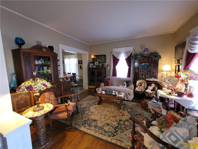 513 S Business Highway 13, Lexington, MO 64067 - living room featuring wood finished floors, plenty of natural light, and crown molding