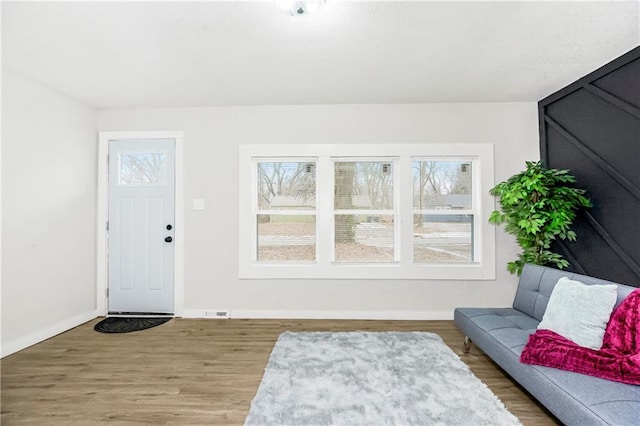 interior space featuring plenty of natural light and hardwood / wood-style flooring