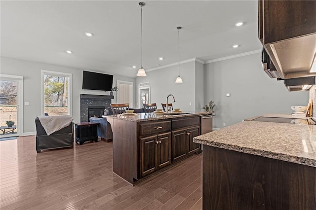 kitchen featuring dark wood finished floors, a glass covered fireplace, a sink, dark brown cabinets, and stainless steel dishwasher