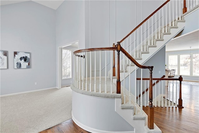 stairway with a chandelier, wood finished floors, carpet flooring, a towering ceiling, and baseboards