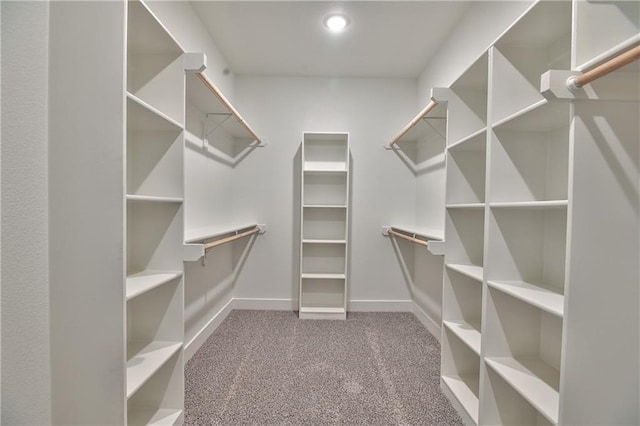 walk in closet featuring carpet flooring