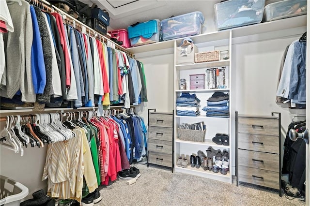 walk in closet with carpet floors