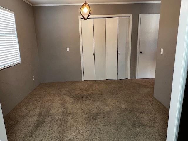 unfurnished bedroom featuring crown molding, multiple closets, and carpet flooring