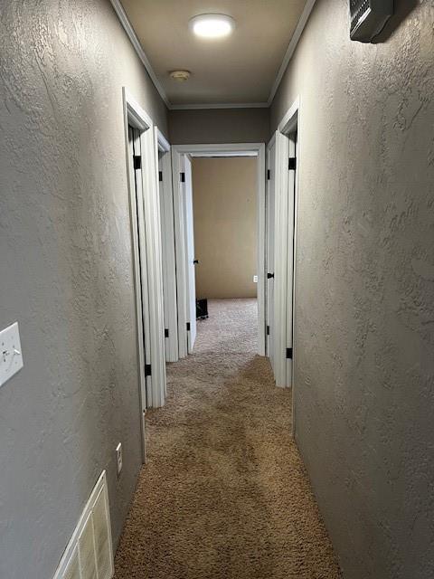 corridor featuring ornamental molding and carpet