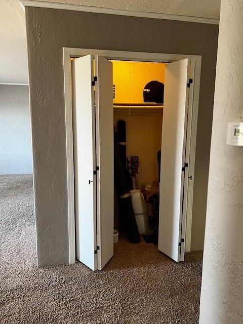 hallway featuring carpet floors and a textured ceiling