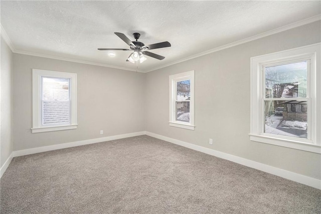 carpeted spare room featuring a textured ceiling, ceiling fan, and ornamental molding