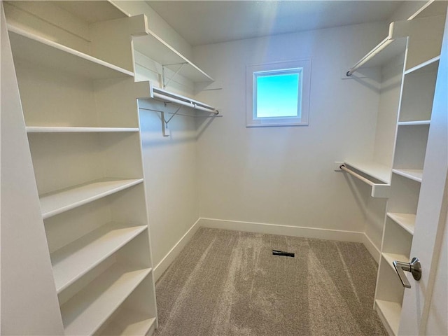 spacious closet with carpet