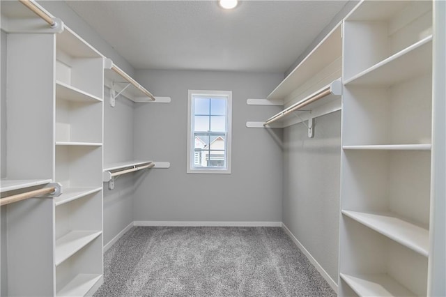 walk in closet with light colored carpet