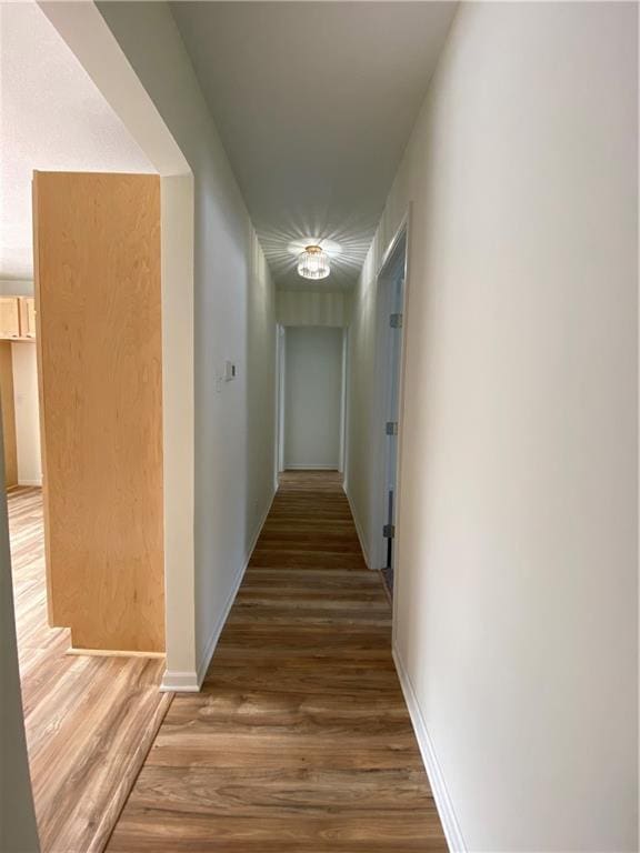 hallway featuring wood-type flooring