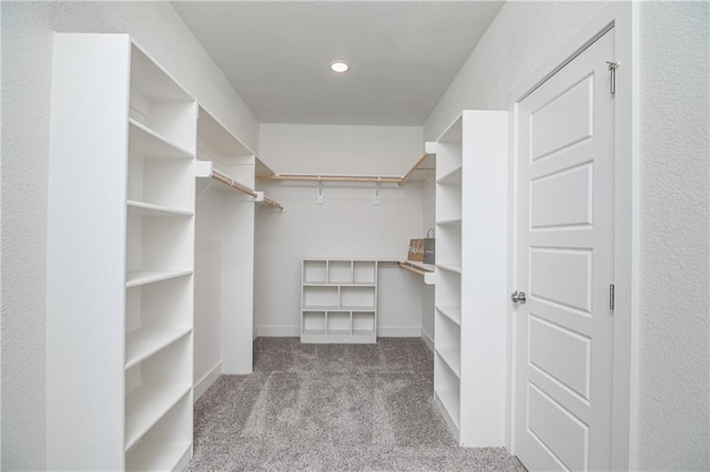 spacious closet featuring carpet