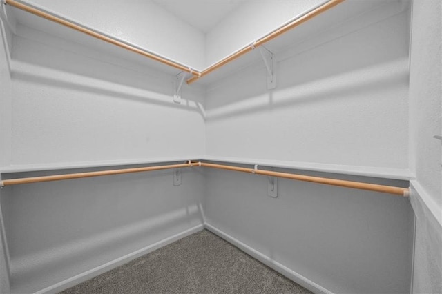 walk in closet with carpet floors