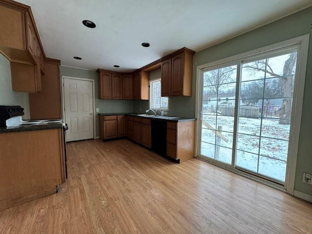 kitchen with sink, light hardwood / wood-style floors, and black dishwasher