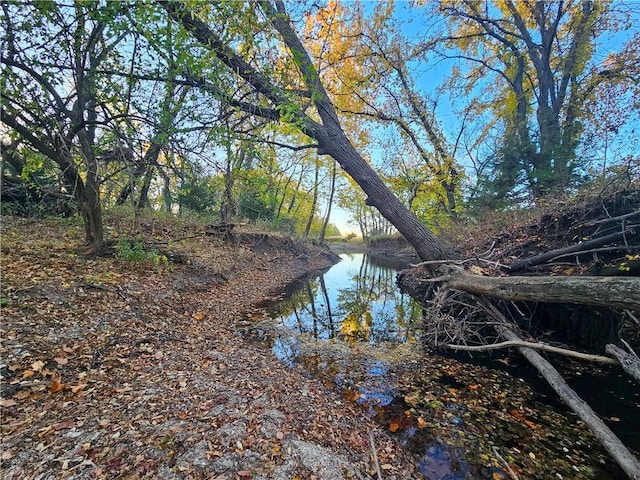 view of nature with a water view