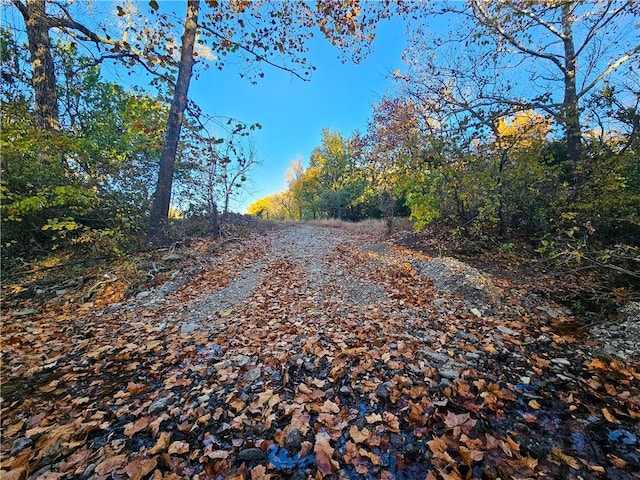 view of road