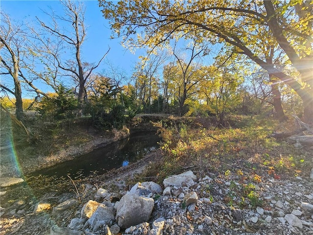 view of local wilderness