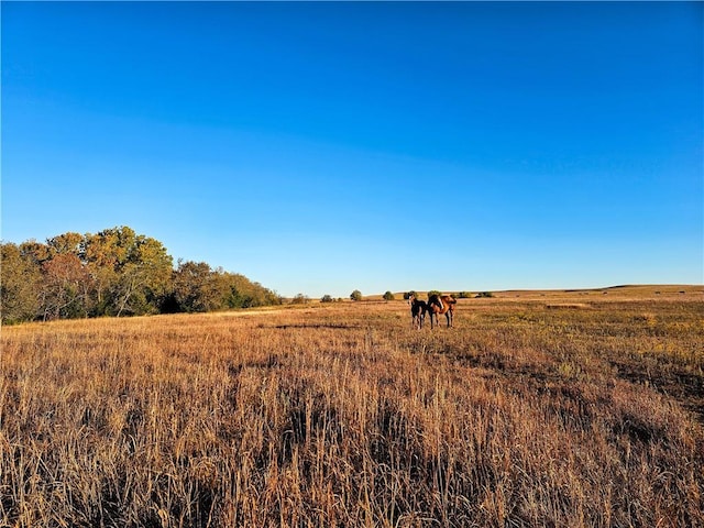 view of local wilderness featuring a rural view