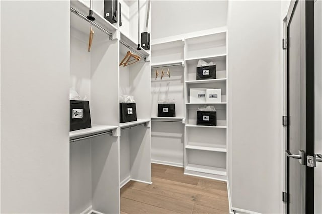 walk in closet with light wood finished floors