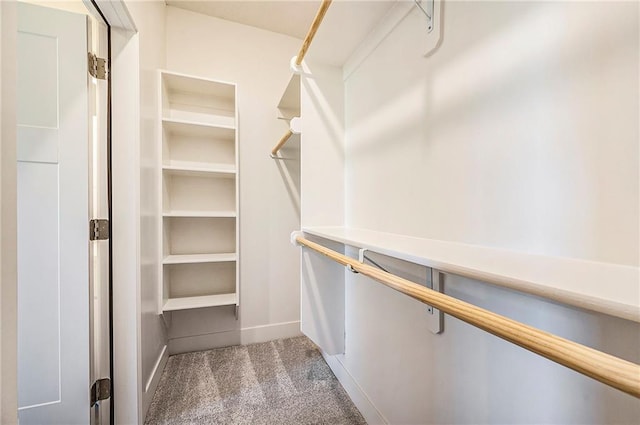 spacious closet featuring carpet