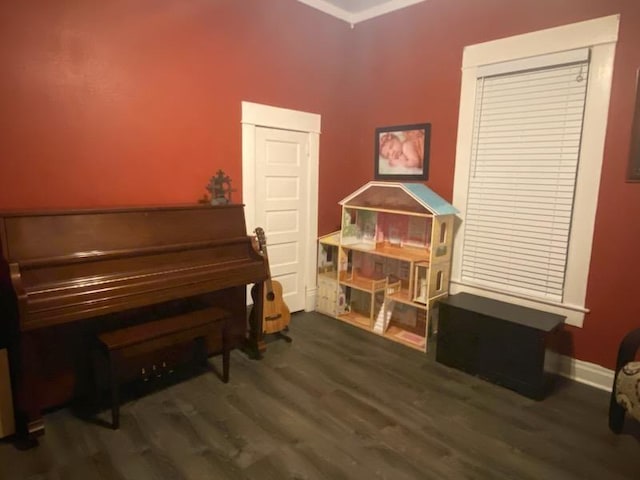 living area with dark hardwood / wood-style flooring