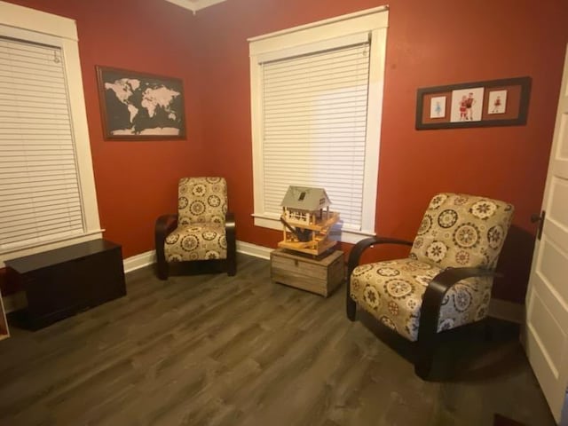 sitting room featuring dark hardwood / wood-style floors