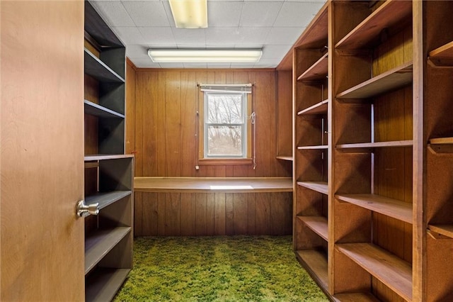 spacious closet with carpet