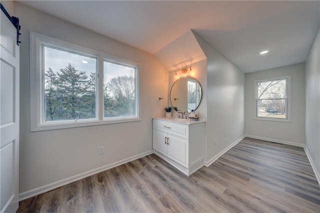 bathroom with vanity, baseboards, and wood finished floors