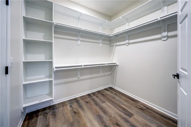 walk in closet with dark wood-style floors