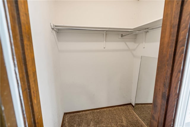 spacious closet featuring carpet