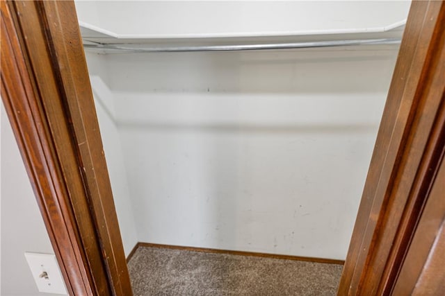 spacious closet featuring carpet flooring