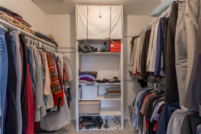 spacious closet featuring carpet