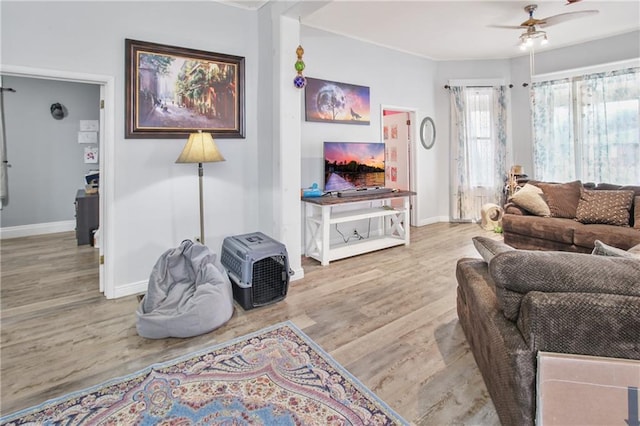 living room featuring ceiling fan and light hardwood / wood-style flooring