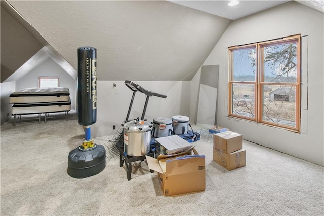 additional living space with carpet flooring and vaulted ceiling