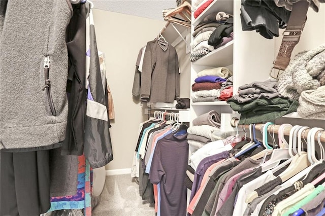 spacious closet with carpet