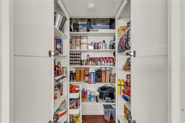 view of pantry